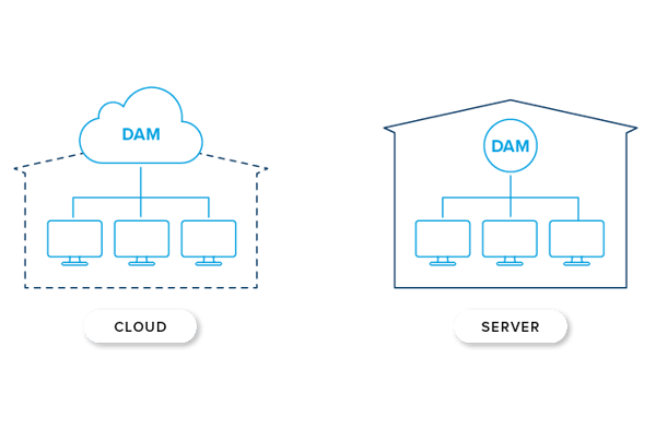 Cloud oder Server