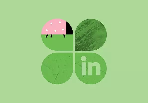 Wie schalte ich Ads auf LinkedIn? - Überblick LinkedIn audience network