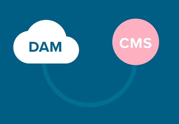 DAM und Content Management
