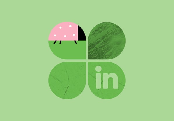 LinkedIn Guide