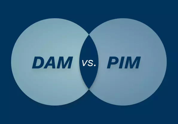 Pim vs dam funktionen